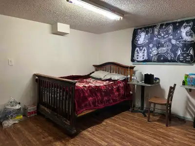 Private living area, own full bath, shared laundry, internet included,1 block to strip mall,gas, res...