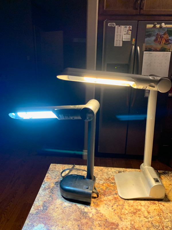 Desk Lamp in Indoor Lighting & Fans in Kingston