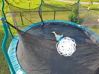 17ft trampoline 