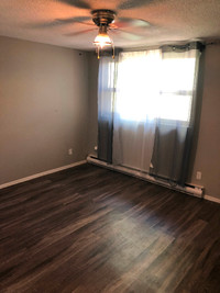 Large bedroom for rent