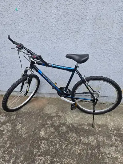 Triumph Frenzy 18-Speed Mountain Bicycle - Size 19", View more