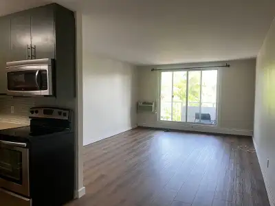 2 Bedroom Osborne Village Apartment for rent