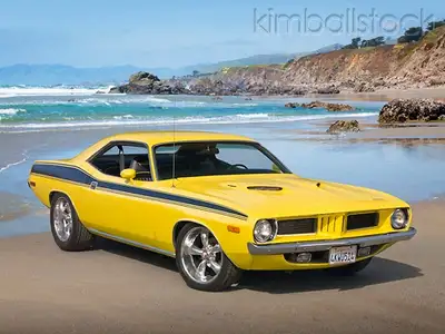 APPRAISAL 416 455 3557 AUTO CAR INSURANCE, SERVICE ONT  br, View more