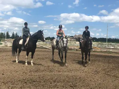 Horse Riding Lessons, View more