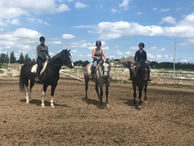 Horse Riding Lessons442863853094850560