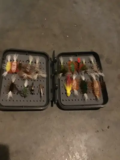 Salmon flies, View more