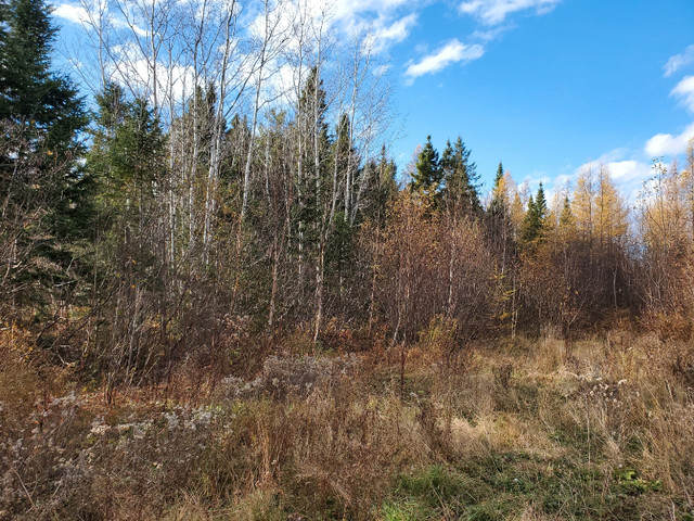 3.7 acres land, outside the city limits in Land for Sale in Bathurst - Image 3