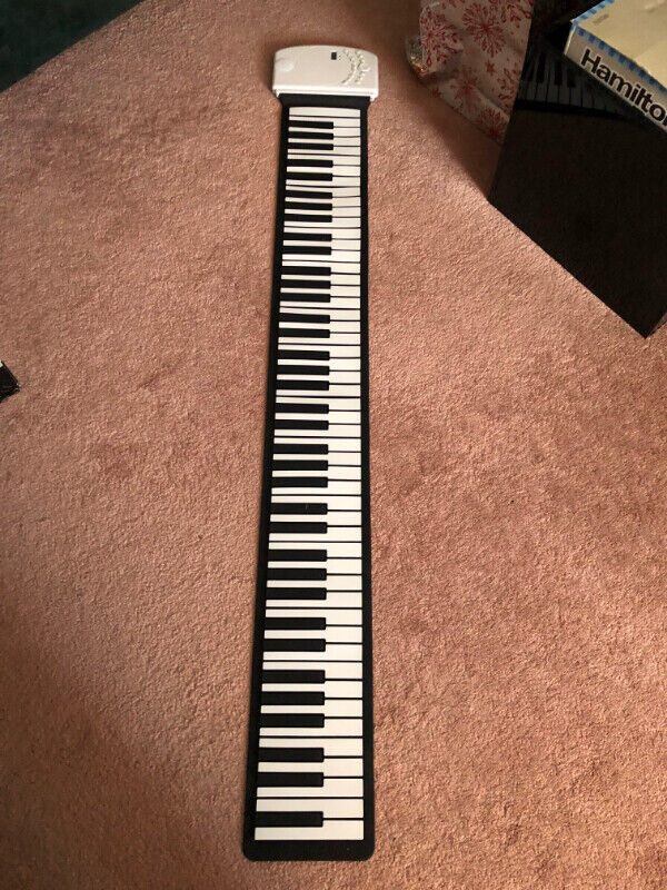 FS: Foldable music keyboard 88key, various ceiling light fixture in Pianos & Keyboards in Ottawa - Image 3