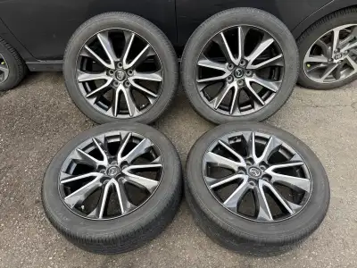 Rims are in good condition. Tires are old, they still hold air but should be replaced. Mainly sellin...