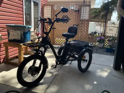 Broke my hip and don’t have the confidence to ride this cool Voltbike Trio Ebike so when tired you c...