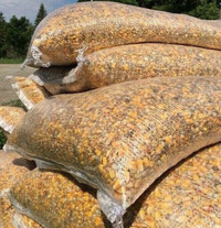 PIGEON FEED CHICKEN FEED FOR SALE - Pickering 