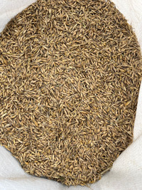 Oats & Barley Feed - ALMOST OUT OF STOCK
