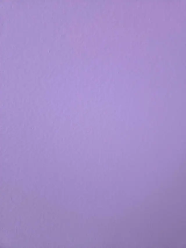 Paint - Novel Lilac in Painting & Paint Supplies in Hamilton - Image 6