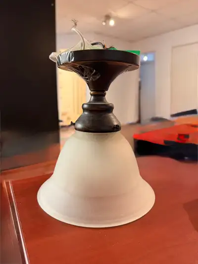 2 plafonniers bronze, View more