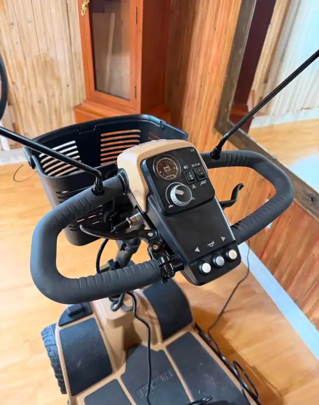 Mobility 4-Wheel Outdoor Electric Scooter 2023 | Toys & Games | Ottawa ...