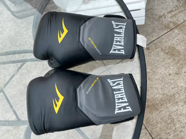 everlast punching bag gloves in Exercise Equipment in Kitchener / Waterloo - Image 2
