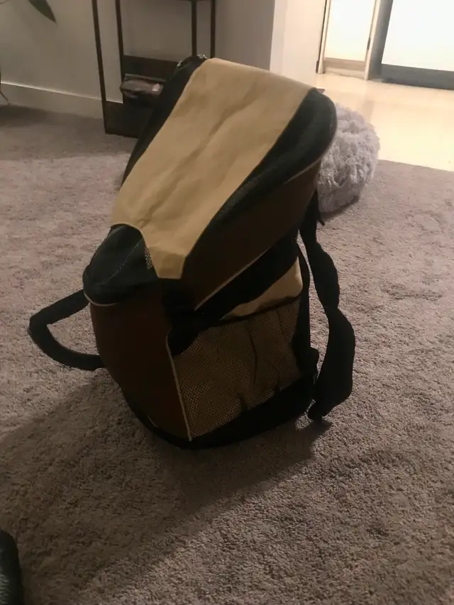 Pet carrier/backpack in Accessories in North Shore - Image 4