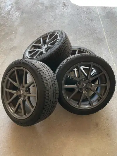 Selling a complete winter wheel/tire setup and winter mats from a 2019 Tesla Model 3. Tire Compatibi...