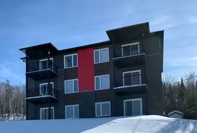 Appartement 4 1/2 Style Condo à louer au 157, Route Fraser Beauceville. Profitez d'une vue incroyabl...