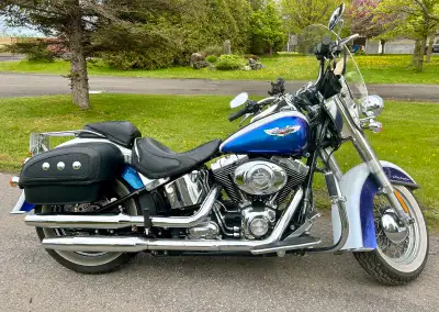 HD softail deluxe, peinture photochromique d’origine, batterie neuve, système d’alarme, barre de pro...