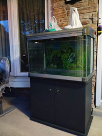 Sell this whole set up fish tank and wood stand