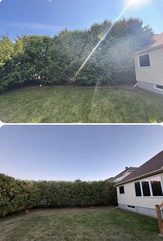 Landscaping & Hedge trimming in Lawn, Tree Maintenance & Eavestrough in Ottawa - Image 10