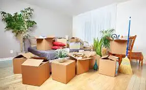 519Movers and Cleaners63948556850179120