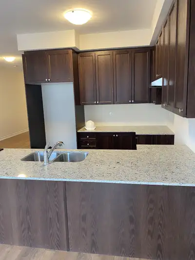 Brand new house for rent