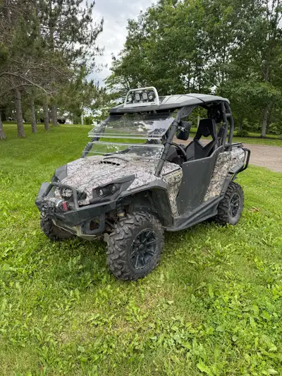 Windshield, half doors, winch, heavy duty bumpers, Muzzy exhaust, Radio, ETC Needs some tlc steering...