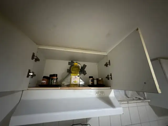 in a basement, studio unit is available for rent in Ontario in Canada - Image 11