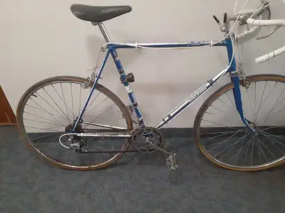 Raleigh Bicycle, View more