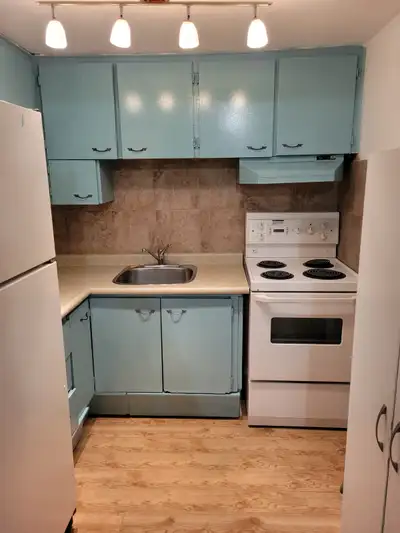 Studio apartment to rent in Hamilton $1400
