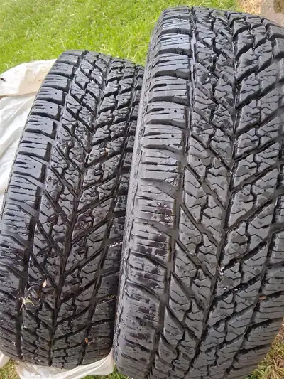 Set of 4 winter tires. Used for one season, in storage since. No rims.