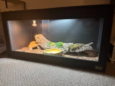 Snake, Terrarium, Heater, Light, Water Bowl, 2 Houses., View more