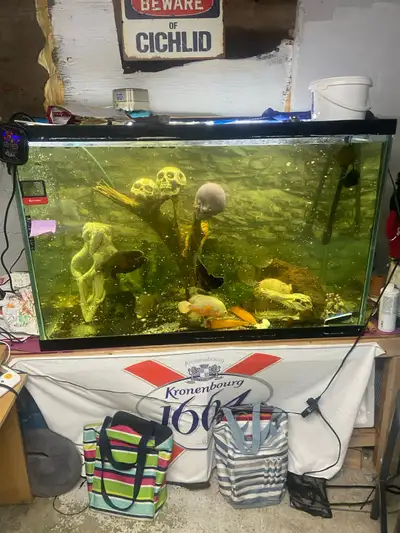150 gallon tank for sale , View more