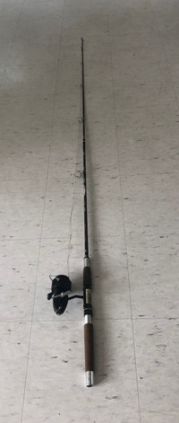 FISHING ROD WITH MITCHELL 300 REEL - sporting goods - by owner