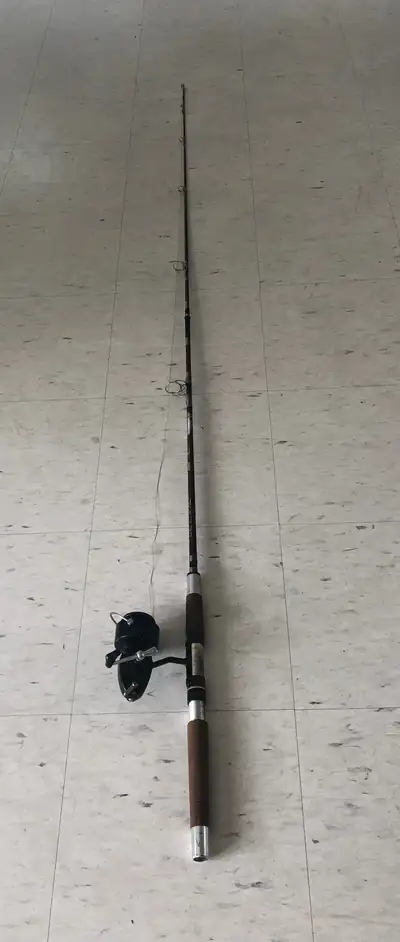 Heddon Fishing Rod w/Mitchell 300 Reel, View more
