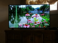 55" Flat Screen TV for sale.