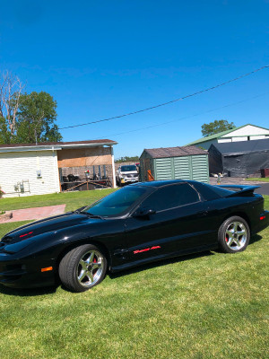 1998 Pontiac Firebird Trans am ws6