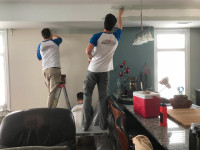 Hiring Professional Painters and Painting Apprentices