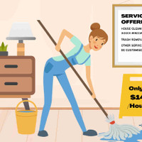 Do you need a person to help around with cleaning??