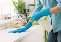 Not a company. Cleaning Lady (Barrie, Innisfil, Angus, Midland)