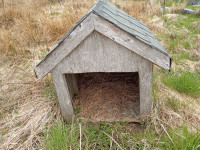 Large dog house