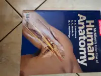 Beautifully illustrated ANATOMY book with cd