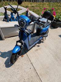 Scooters & Pocket Bikes For Sale Near You in Kitchener / Waterloo