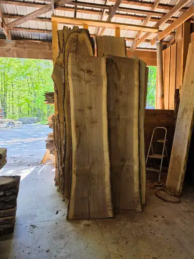 black walnut, View more