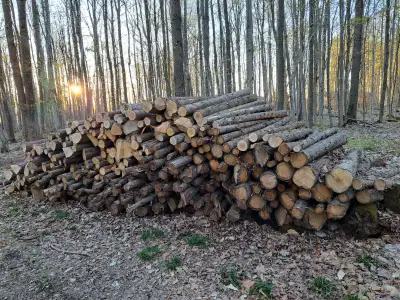 Cedar Posts For Sale, View more
