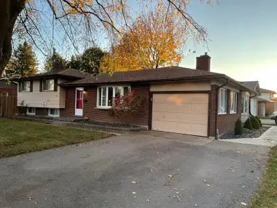 Spacious, open studio basement apartment with two large front facing windows allowing plentiful dayl...
