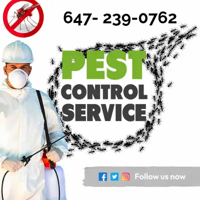 Protect your home and family with our professional pest control service, designed to effectively eli...