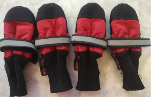 Muttluks Dog Boots.  One set. in Accessories in Edmonton - Image 3
